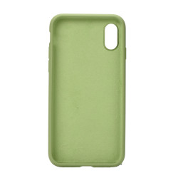 iPhone X / XS Silicon Case Pepermint 2