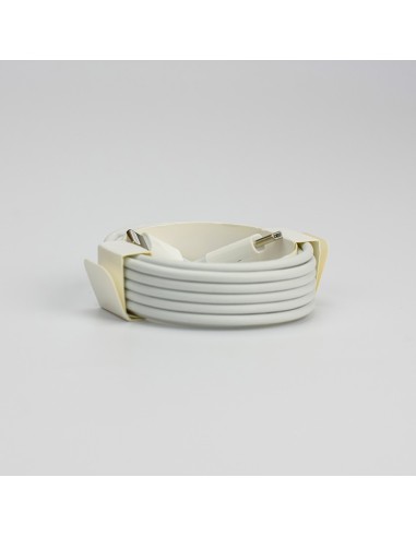 Packed 2 Meter USB-C to Lightning